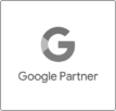 Google Ads Partner