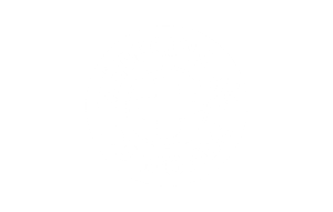 logo_MDM_blanc.png